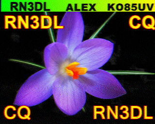 A roughly triangular, brightly colour, orchid. Text across the top reads RN3DL ALEX KO85UV. Another line reads RN3DL CQ. This is another SSTV CQ call. 