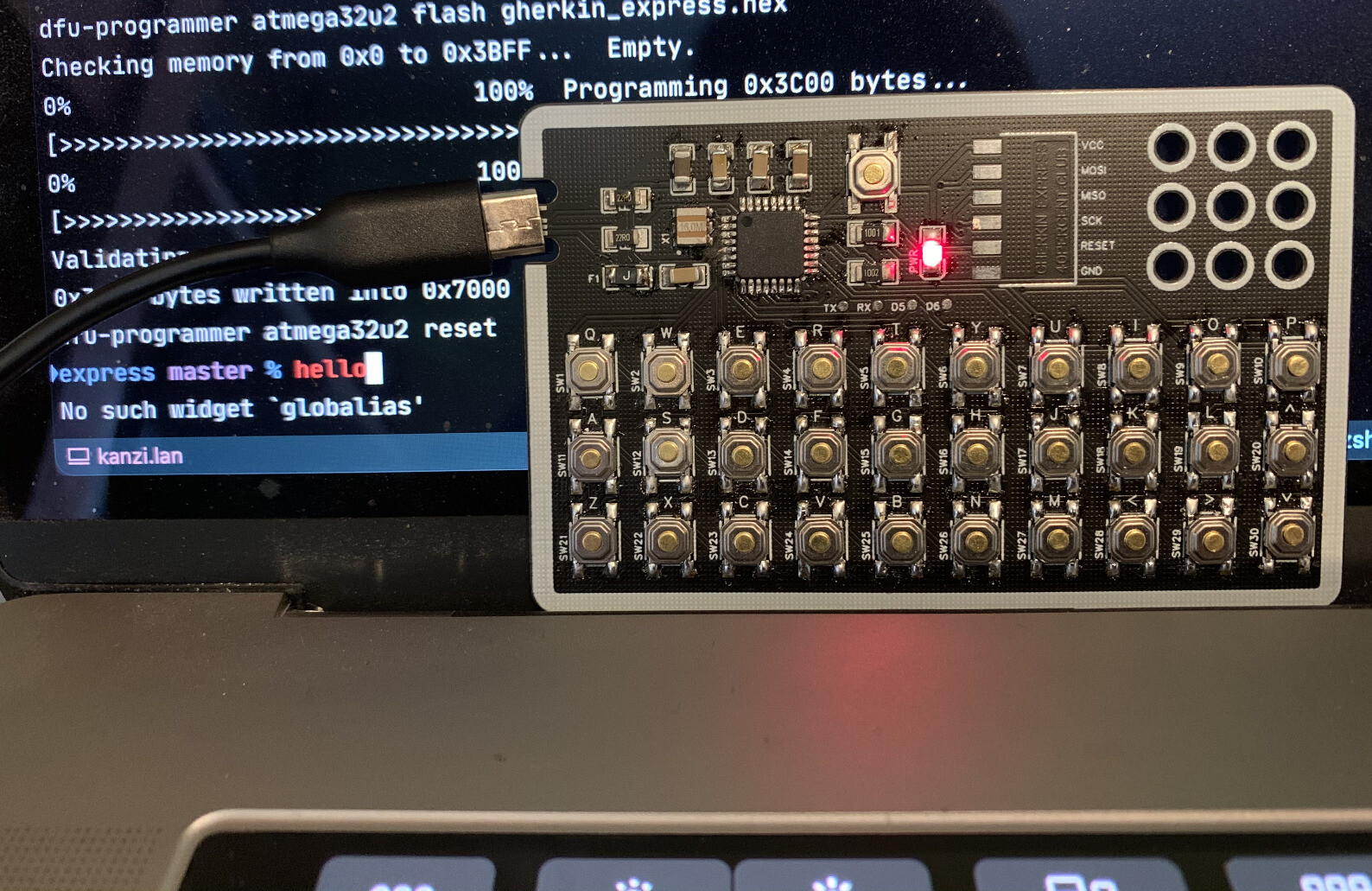 A PCB the size of a credit card with small pushbutton switches and a USB cable on the top left. 